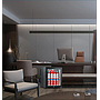 40L Gass Door Thermoelectric Minibar  Fridge 