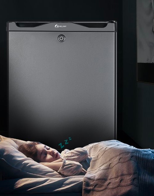 Thermoelectric Absorption mini-refrigerator-30L