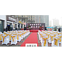 Chair Cover Band, Grass Green, 14*275Cm