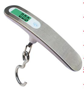 Portable Scale