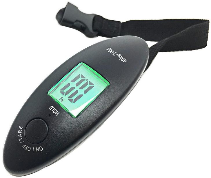 Portable Scale