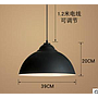Pendent  light
