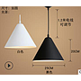 Pendent  light