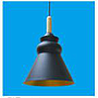 Pendent  light