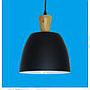 Pendent  light