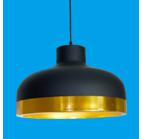 Pendent  light