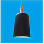 Pendent  light