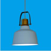 Pendent  light