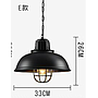 Pendent  light