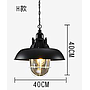 Pendent  light