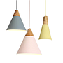 Pendent  light