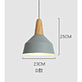 Pendent  light
