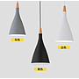 Pendent  light