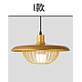 Pendent  light