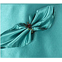 Napkin