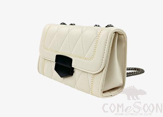 Ladies bag