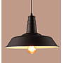 Pendent  light
