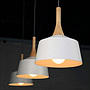 Pendent  light